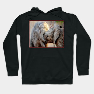 Elephants in Love Embracing Whimsical Print Hoodie